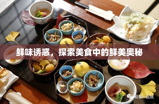 鮮味誘惑，探索美食中的鮮美奧秘