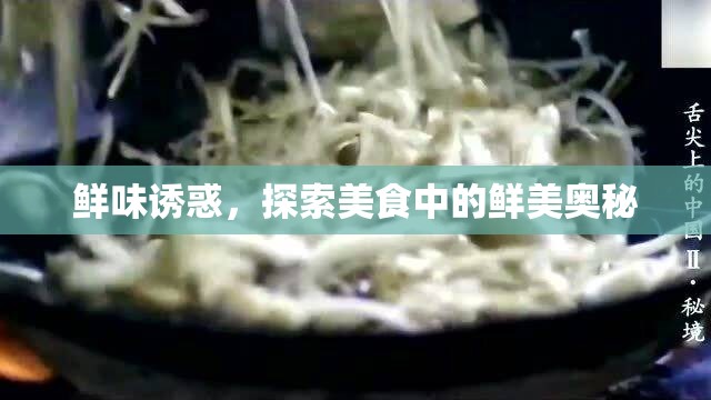 鮮味誘惑，探索美食中的鮮美奧秘