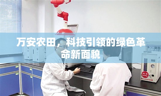 萬安農田，科技引領的綠色革命新面貌