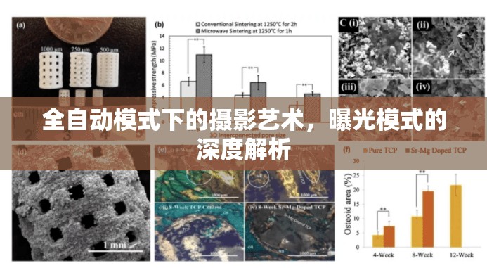 全自動模式下的攝影藝術(shù)，曝光模式的深度解析