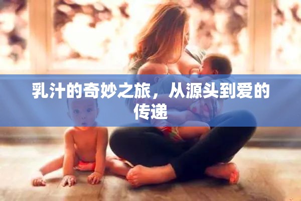乳汁的奇妙之旅，從源頭到愛的傳遞
