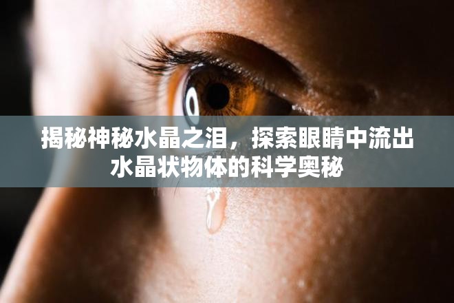 揭秘神秘水晶之淚，探索眼睛中流出水晶狀物體的科學(xué)奧秘