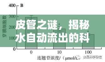 皮管之謎，揭秘水自動(dòng)流出的科學(xué)奧秘