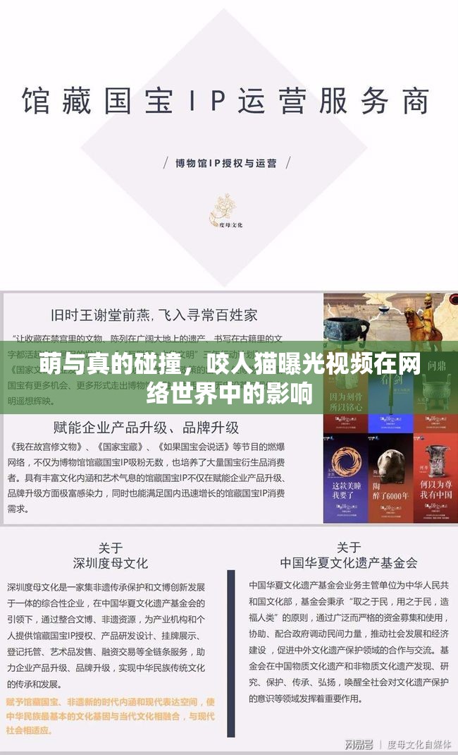 萌與真的碰撞，咬人貓曝光視頻在網(wǎng)絡(luò)世界中的影響