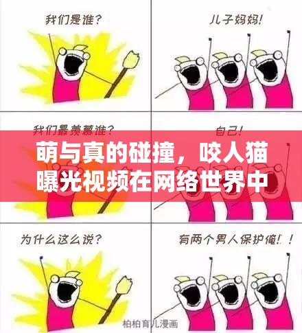 萌與真的碰撞，咬人貓曝光視頻在網(wǎng)絡(luò)世界中的影響