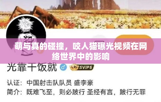 萌與真的碰撞，咬人貓曝光視頻在網(wǎng)絡(luò)世界中的影響