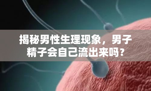 揭秘男性生理現(xiàn)象，男子精子會(huì)自己流出來(lái)嗎？