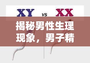 揭秘男性生理現(xiàn)象，男子精子會(huì)自己流出來(lái)嗎？