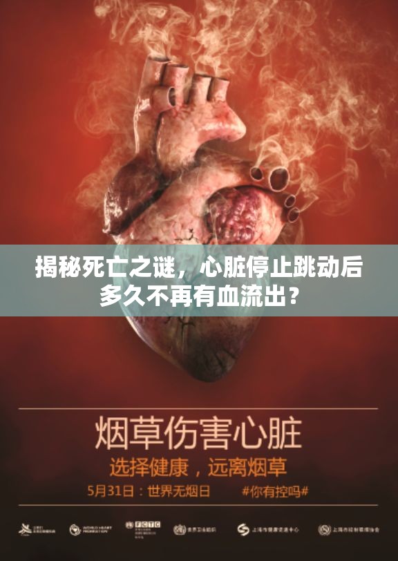 揭秘死亡之謎，心臟停止跳動后多久不再有血流出？