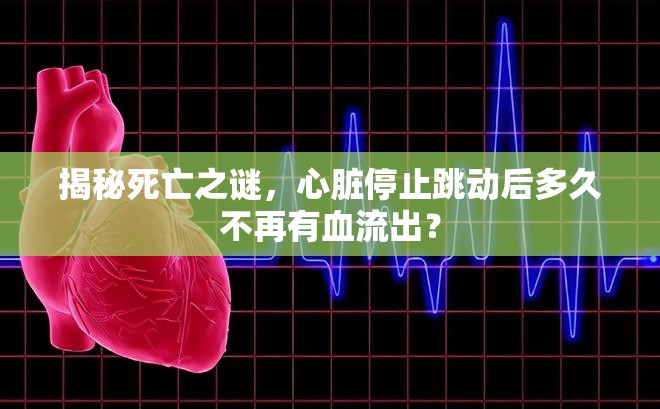 揭秘死亡之謎，心臟停止跳動后多久不再有血流出？