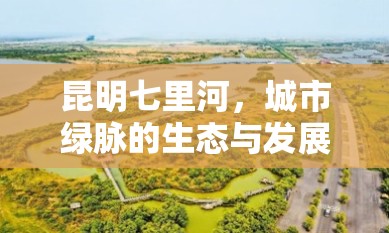 昆明七里河，城市綠脈的生態(tài)與發(fā)展和諧共舞新篇章
