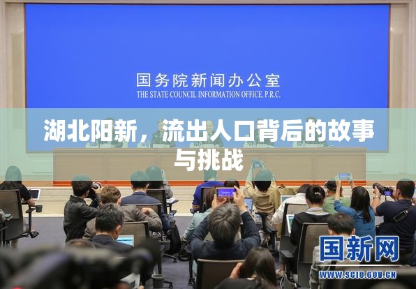 湖北陽新，流出人口背后的故事與挑戰(zhàn)