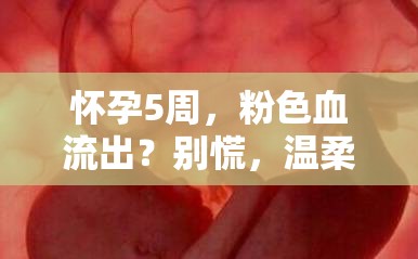懷孕5周，粉色血流出？別慌，溫柔警報來襲