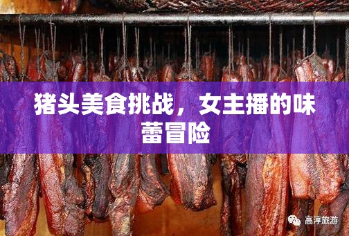 豬頭美食挑戰(zhàn)，女主播的味蕾冒險(xiǎn)