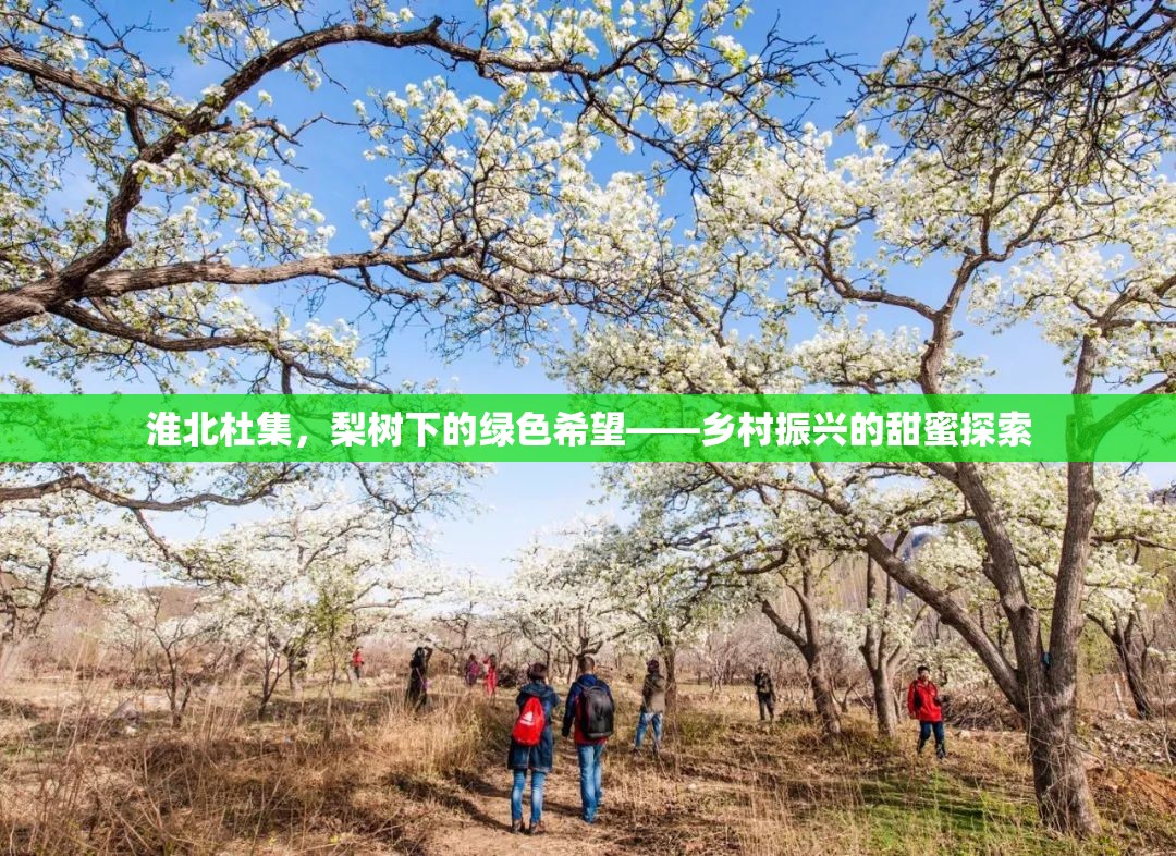 淮北杜集，梨樹(shù)下的綠色希望——鄉(xiāng)村振興的甜蜜探索
