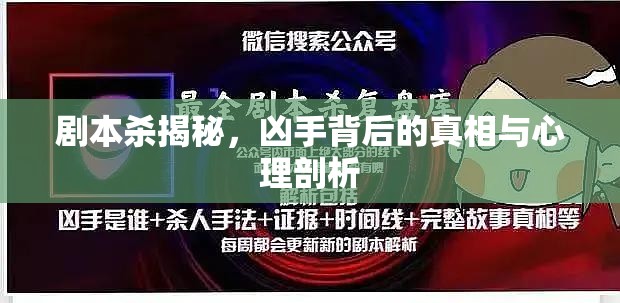 劇本殺揭秘，兇手背后的真相與心理剖析