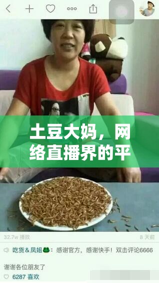 土豆大媽，網(wǎng)絡(luò)直播界的平民英雄