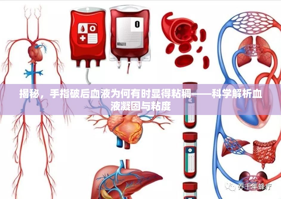 揭秘，手指破后血液為何有時顯得粘稠——科學解析血液凝固與粘度