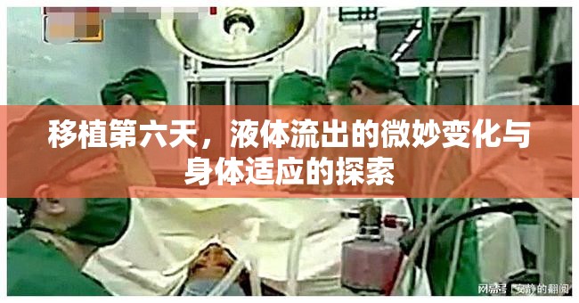移植第六天，液體流出的微妙變化與身體適應的探索