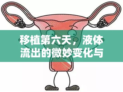 移植第六天，液體流出的微妙變化與身體適應的探索