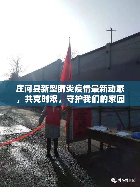 莊河縣新型肺炎疫情最新動(dòng)態(tài)，共克時(shí)艱，守護(hù)我們的家園