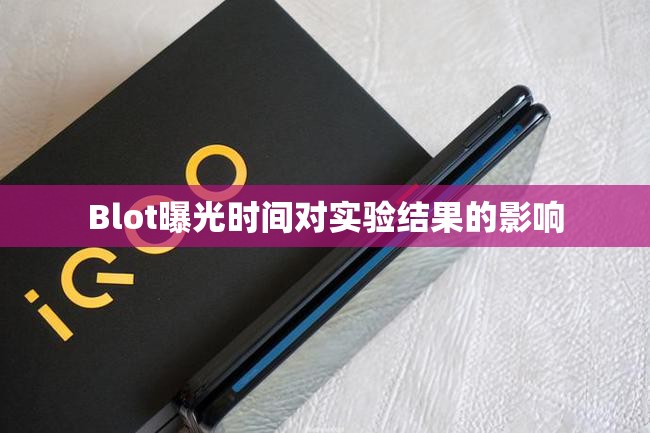 Blot曝光時間對實驗結果的影響