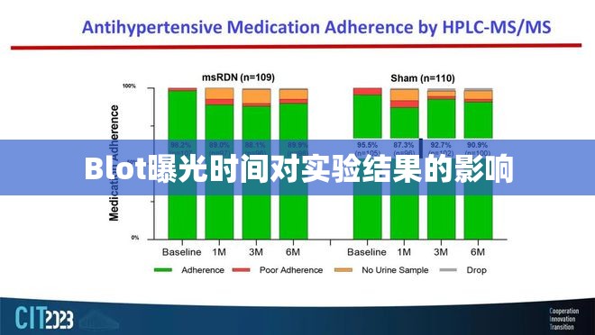 Blot曝光時間對實驗結果的影響