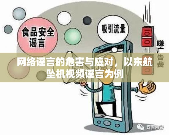 網(wǎng)絡(luò)謠言的危害與應(yīng)對，以東航墜機(jī)視頻謠言為例