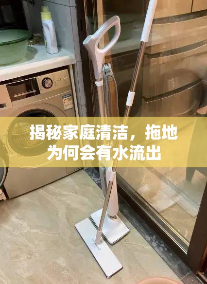 揭秘家庭清潔，拖地為何會(huì)有水流出