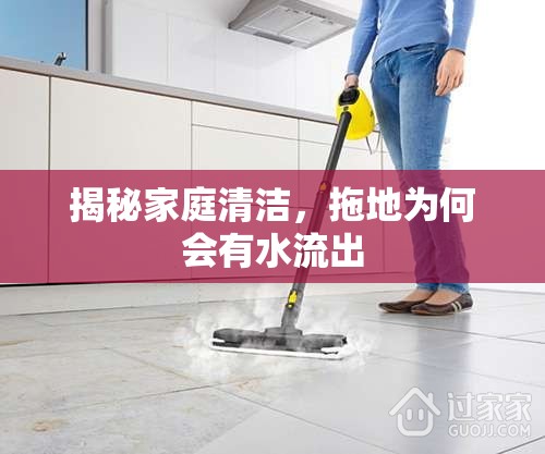 揭秘家庭清潔，拖地為何會(huì)有水流出