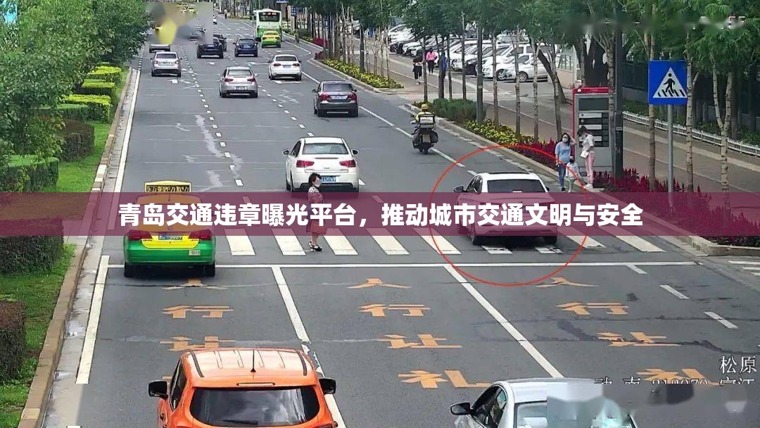 青島交通違章曝光平臺(tái)，推動(dòng)城市交通文明與安全