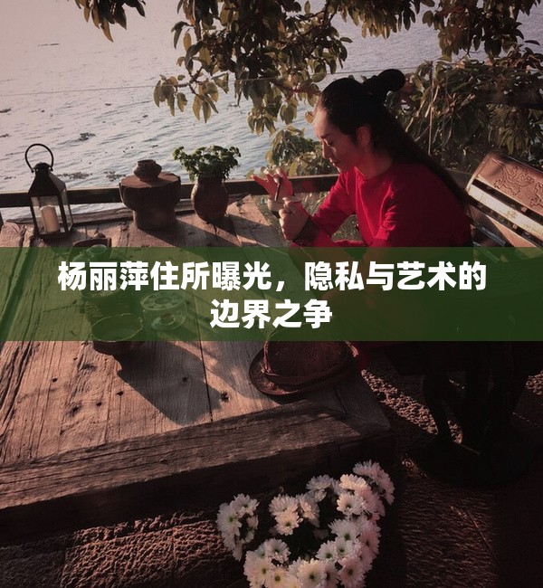楊麗萍住所曝光，隱私與藝術(shù)的邊界之爭(zhēng)