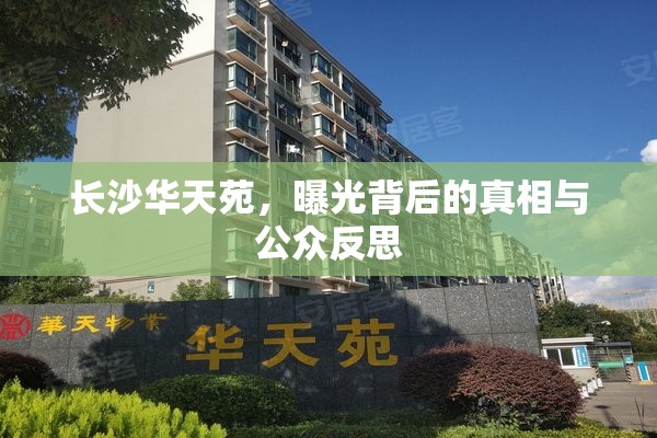 長(zhǎng)沙華天苑，曝光背后的真相與公眾反思
