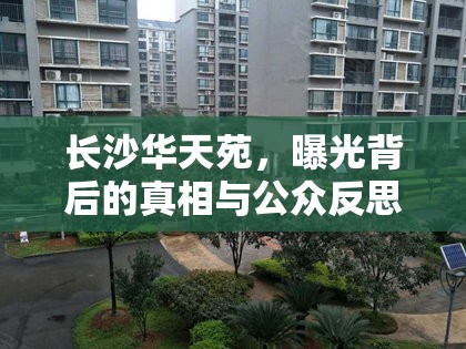 長(zhǎng)沙華天苑，曝光背后的真相與公眾反思