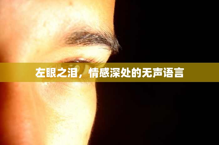 左眼之淚，情感深處的無聲語言