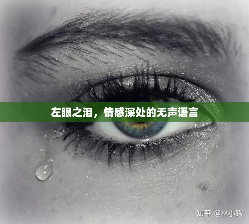左眼之淚，情感深處的無聲語言