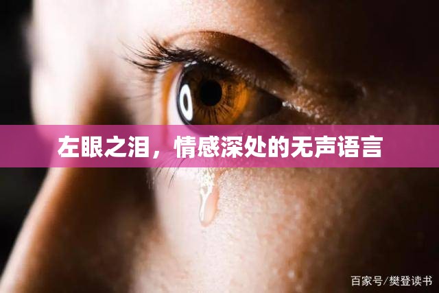 左眼之淚，情感深處的無聲語言
