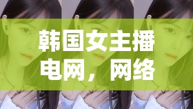 韓國(guó)女主播電網(wǎng)，網(wǎng)絡(luò)直播的魅力與挑戰(zhàn)