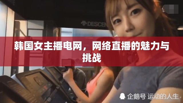 韓國(guó)女主播電網(wǎng)，網(wǎng)絡(luò)直播的魅力與挑戰(zhàn)