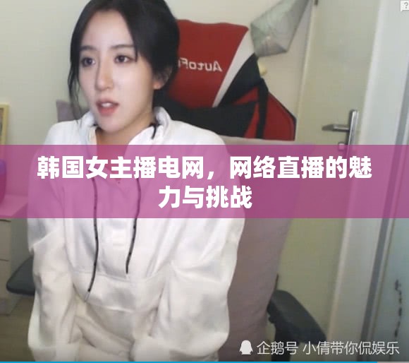 韓國(guó)女主播電網(wǎng)，網(wǎng)絡(luò)直播的魅力與挑戰(zhàn)