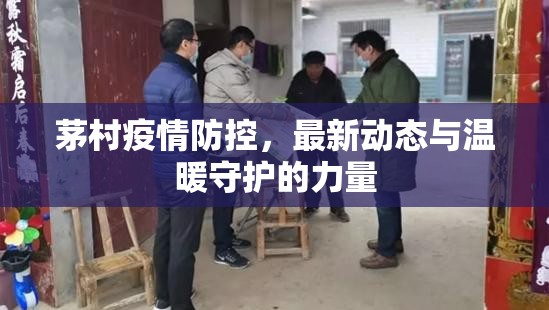 茅村疫情防控，最新動態(tài)與溫暖守護的力量