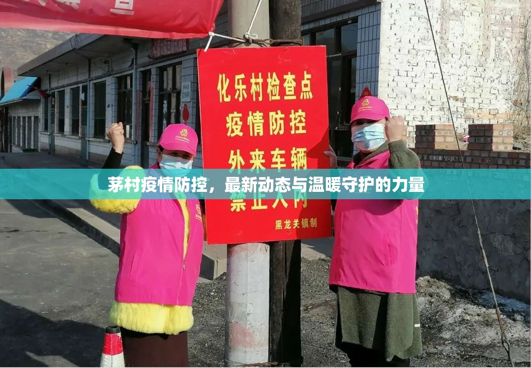 茅村疫情防控，最新動態(tài)與溫暖守護的力量