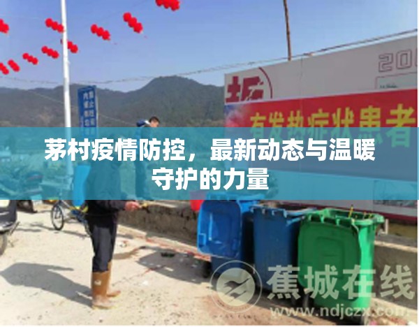 茅村疫情防控，最新動態(tài)與溫暖守護的力量