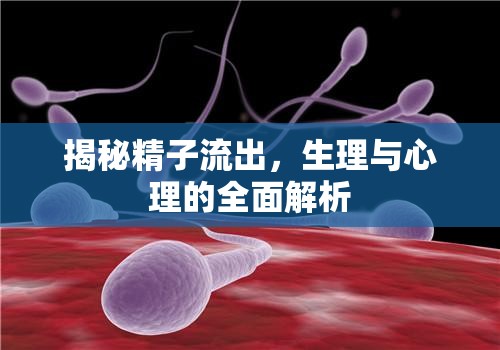 揭秘精子流出，生理與心理的全面解析