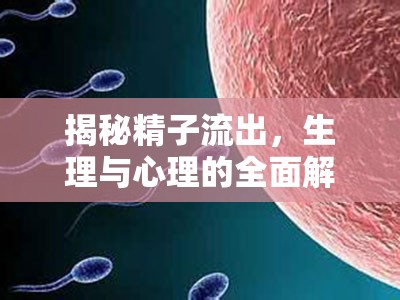 揭秘精子流出，生理與心理的全面解析