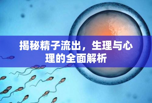 揭秘精子流出，生理與心理的全面解析