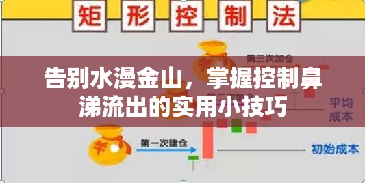 告別水漫金山，掌握控制鼻涕流出的實用小技巧