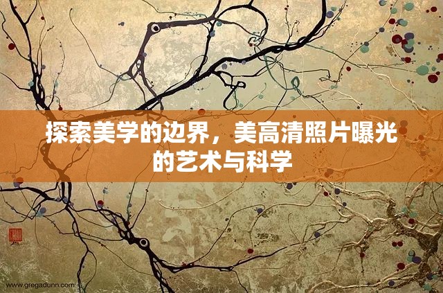 探索美學的邊界，美高清照片曝光的藝術與科學
