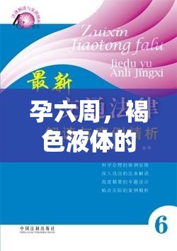 孕六周，褐色液體的溫柔解讀與孕期新篇章