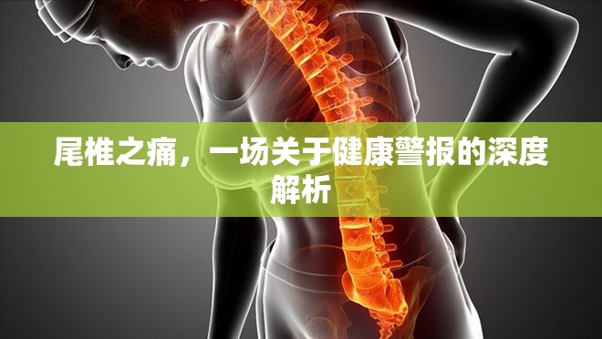 尾椎之痛，一場(chǎng)關(guān)于健康警報(bào)的深度解析
